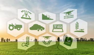 借鑒國際經(jīng)驗(yàn) 加快我國智慧農(nóng)業(yè)發(fā)展