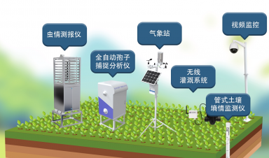 智慧農(nóng)業(yè)創(chuàng)新方案，賦能農(nóng)業(yè)現(xiàn)代化轉型新征程